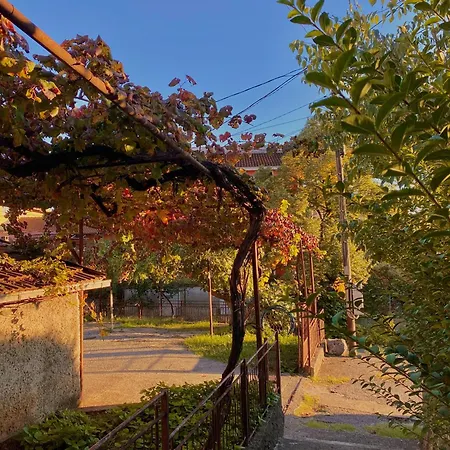 Small Hill Hostel *